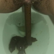 A rear under-ass view of a very cute girl as a long log hangs and drops, followed by the product. Filmed from a between the legs perspective. Vertical format video. About 2 minutes.